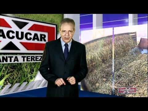 Processo produtivo: Usina Santa Terezinha