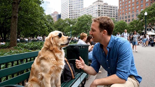 Les 8 meilleurs sites de streaming foot pour voir match en direct