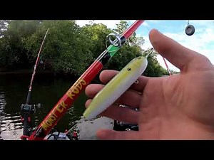 Using Carolina Rig + Demon Dragon Float for Flathead Catfish
