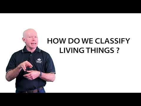 Classifying Reef Creatures - Introduction to Classification