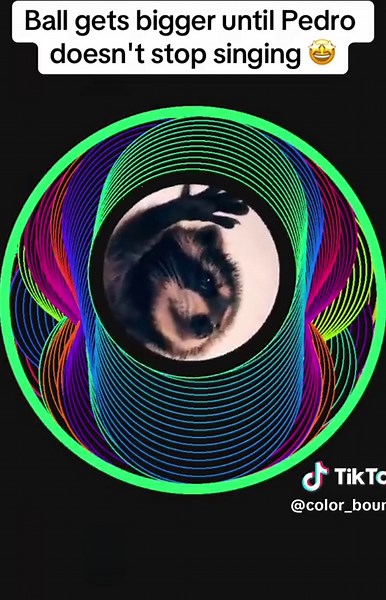 Pedro Pedro Pedro 🦝 #python #satisfying #physics #fyp #computer #computerscience #pedro #pedropedropedropedro