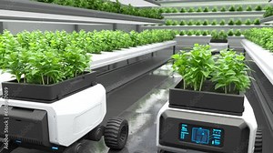 Robots are working on an organic farm, Smart robotic farmers concept, Agriculture technology, Farm Automation