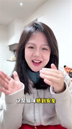 Decode Your Cat's Meow: What's It Trying to Tell You