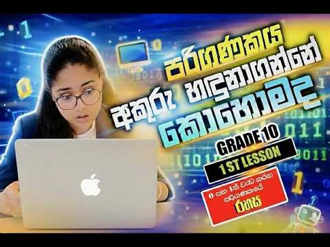 පරිගණකය දත්ත හඳුනාගන්නේ කොහොමද? | How a Computer Recognizes Data | Grade 10 ICT