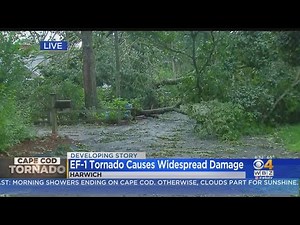 Cape Cod Tornado Leaves Trail Of Damage In Harwich, Yarmouth