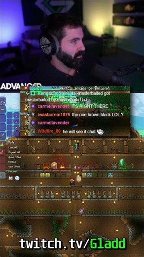 Chat Trolled Me... #terraria #shorts
