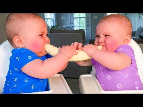 Funny Baby & Sibling Videos Compilation - Cute Babies Moments || Baby Vibes