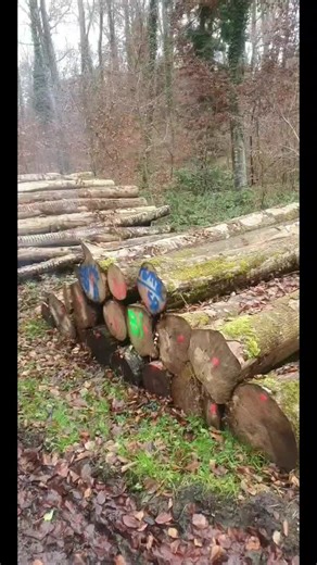 #unimog#406#holz @kreisi_610s @floweckerle16 @knax2023