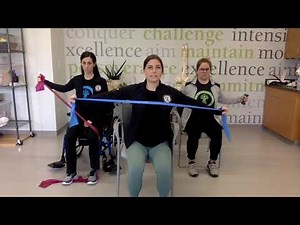 Upper and Lower Extremity Theraband Exercises