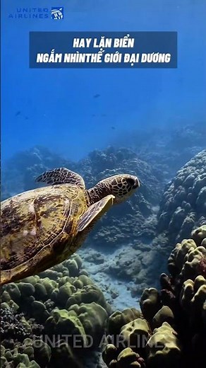 🏖️ KAUAI, HAWAII - THIÊN ĐƯỜNG BIỂN ĐẢO ĐẦY KÌ THÚ🌴