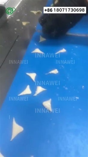 Automatic Ravioli Machine | Square Round Rectangular Shapes | Stuffed Dumpling Maker #machine