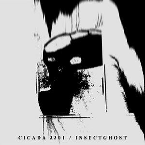 Cicada 3301 / Insectghost - Cicada 3301 / Insectghost Split