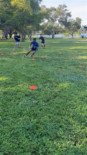 Pro Builder Fitness Inc Personal Training Athletic Training St Pete Tampa Bradenton Sarasota FL