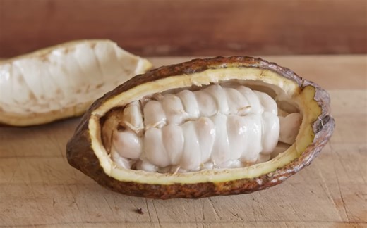 How to make chocolate, from cacao pod to chocolate bar