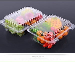 [Hot Item] Disposable Plastic Vegetable Packaging Fruit Box
