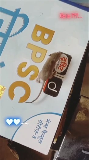 #bpsc motivational video 💙🇮🇳