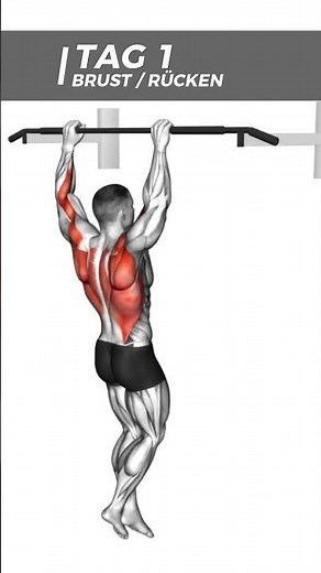 Arnold Split Trainingsplan - Perfekter Plan für Muskelaufbau #trainingstipps #trainingsplan