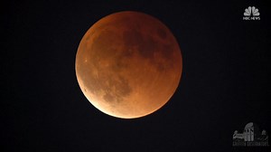 Moon bases being planned now may show us how to live off-planet