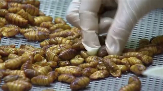 Chinese diet shift to more meat, fewer grains may cost US$14 billion in health spending