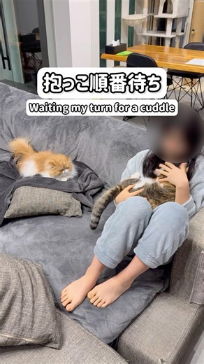 ちゃんと行列着いて待ってます/Wating my turn for a cuddle