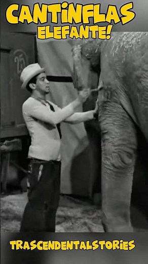 Cantinflas cleaning the elephant!