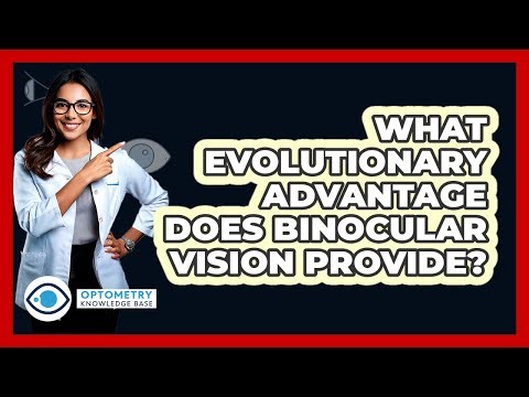 What Evolutionary Advantage Does Binocular Vision Provide? - Optometry Knowledge Base