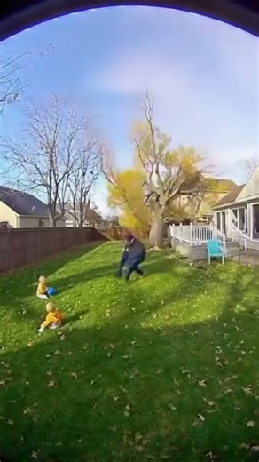 This Is Why AI Still Needs Humans 😂 | Tree Fall Fail #Shorts
