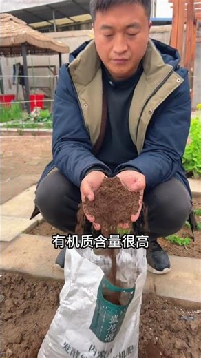 Spring Vegetable Planting: Your Ultimate Guide