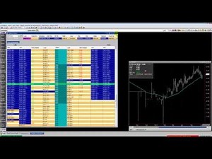 QST Professional Tutorial: Getting Started - Basics