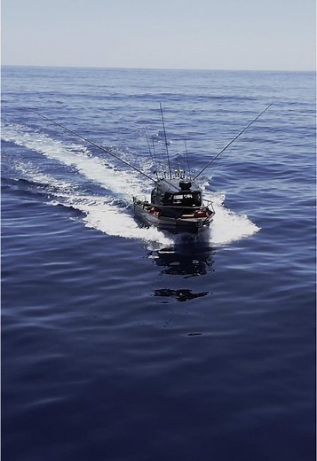 Morning Marlin Pack Attack: Our 5th Catch of the Trip