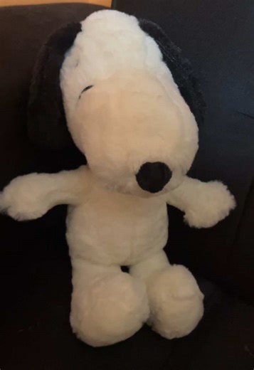 Unique Gift Box Idea for Snoopy Lovers