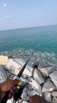 രണ്ടും സൂപ്പറാ #keralafishing #shorts