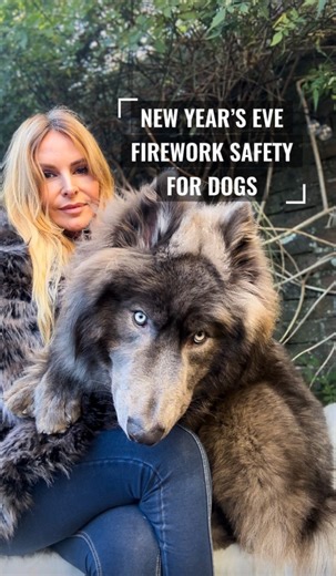 Some advice for Dog Owners ahead of the New Year Fireworks 🎇 If you have dogs at home tonight, please take this seriously. Fireworks are not ‘fun’ for animals — to them, they sound like gunfire, and even the calmest dog can panic. Bring dogs indoors well before fireworks start. Close windows, draw curtains, and use the TV, radio, or white noise to dull the sound. Keep rooms softly lit — darkness plus loud noise makes fear worse. Create a safe space. Let your dog choose where they feel safest — 