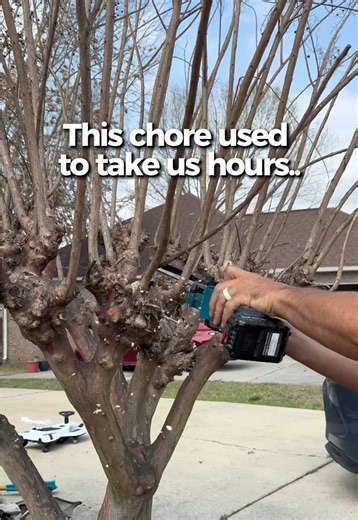 Effortless Late Winter Pruning with Seesii Mini Chainsaw
