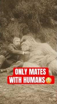 4 WEIRDEST Ways Animals REPRODUCE