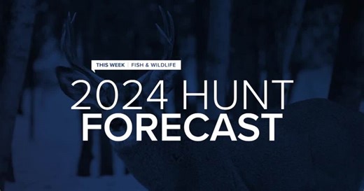 This Week in Fish and Wildlife: FWP discusses outlook for upcoming general hunting season