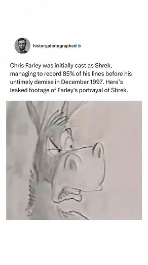 Chris Farley was initially chosen to portray Shrek, but tragically, he passed away before the film’s completion. He managed to record 85% of his lines before his untimely demise in December 1997. Subsequently, Mike Myers stepped in to replace Farley and requested a script overhaul to infuse his unique interpretation of Shrek into the movie. The film was eventually released in 2001, profoundly impacting everyone involved. The Chris Farley Shrek version remains an unfulfilled curiosity, leaving us