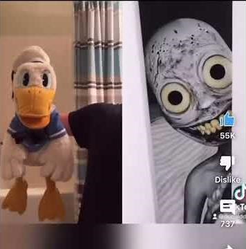 Donaldducc Sparta remix reverse 2 minutes