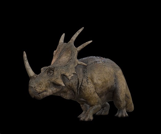ArtStation - Styracosaurus | Styraco Dinosaur | Ngchipv | Game Assets