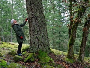 Gulf Island Getaway: Three ways to unwind on Salt Spring Island