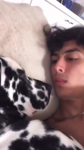 Cute & Funny Dogs Comp 😊🐶 . . . #dogs #dogsoftiktok #dog . | Dogs Barking