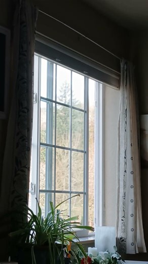 Country window, hint of coming spring breeze/one moment in time