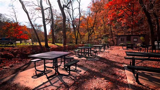 9.8K views · 108 reactions | Bella Vista is entering a new era, and...