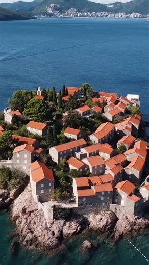 41 reactions · 3 comments |  Book Your Next Vegan Cruise with...