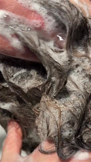 Need a fresh cut today? No problem 💇‍♀️ Walk-in to your nearest Supercuts for our ultimate service, The Supercut. Includes wash, condition, cut & blow-dry ✨ Or join the live guestlist with Save My Spot and skip the wait! ✔️ Prices start from £35.50 🙌 Feel fabulous and salon-fresh when the time suits you. https://supercuts.co.uk/pages/salon-locator#! #Supercuts #TheSupercut #HairRefresh #SaveMySpot | Supercuts UK