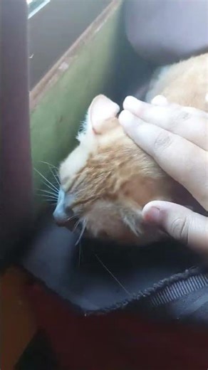 So cute that i love to tap her ahh