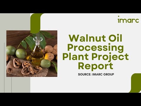 How to Setup a Walnut Oil Processing Plant: Detailed Report 2025