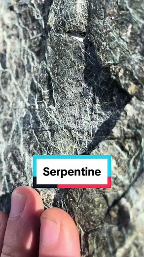 Serpentine forms as a result of the chemical weathering, carbonization, and hydration of ultramafic rock from the seafloor. Mafic rock is rich in iron and magnesium. The reaction product fills cracks and veins in the rock as it expands in volume. The same reactions run on land have the benefit of releasing important nutrients into the soil (Fe, Mg) and absorbing CO2 and sequestering it in carbonate minerals. People are trying to harness this reaction to store CO2 in the form of bicarbonate ion i