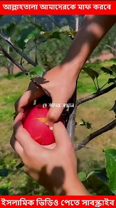 #islamic #video #videoviral #foryouシ #foryoupageシ | Islam Review Focus