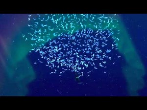 Bill Recinos Character Animation on Disney's "Fantasia 2000" 1999